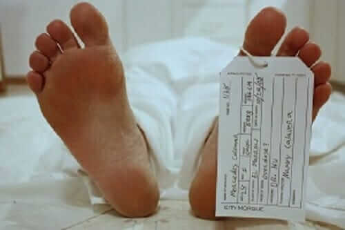 Removal of Testes and Sperm from Deceased
