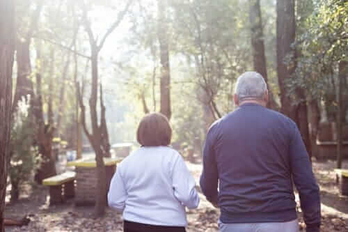 Challenging a Will in a Family Provision Application