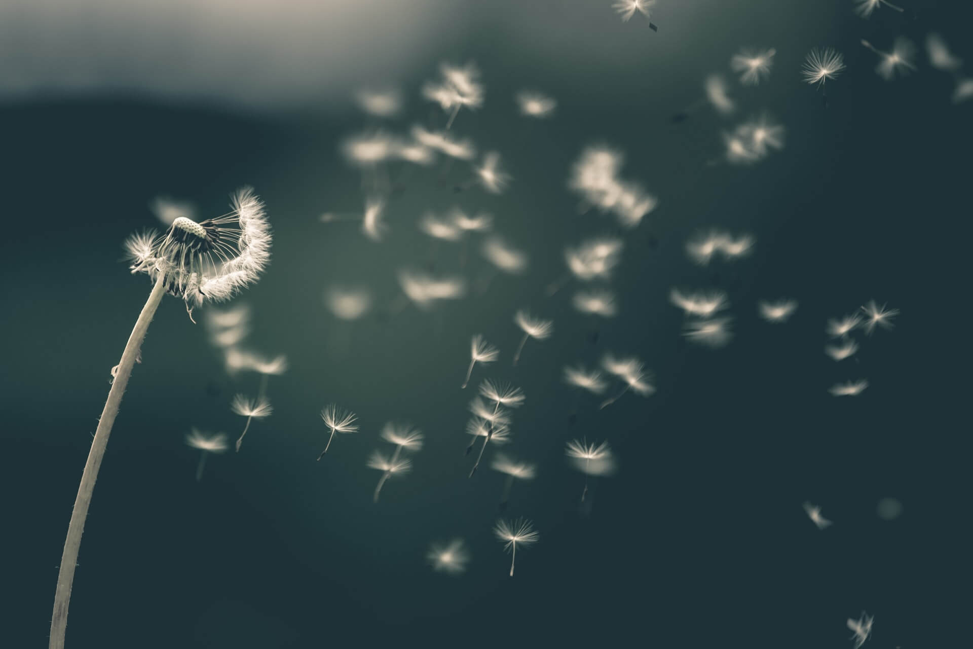Letter of Wishes – A personal touch to your Estate Planning