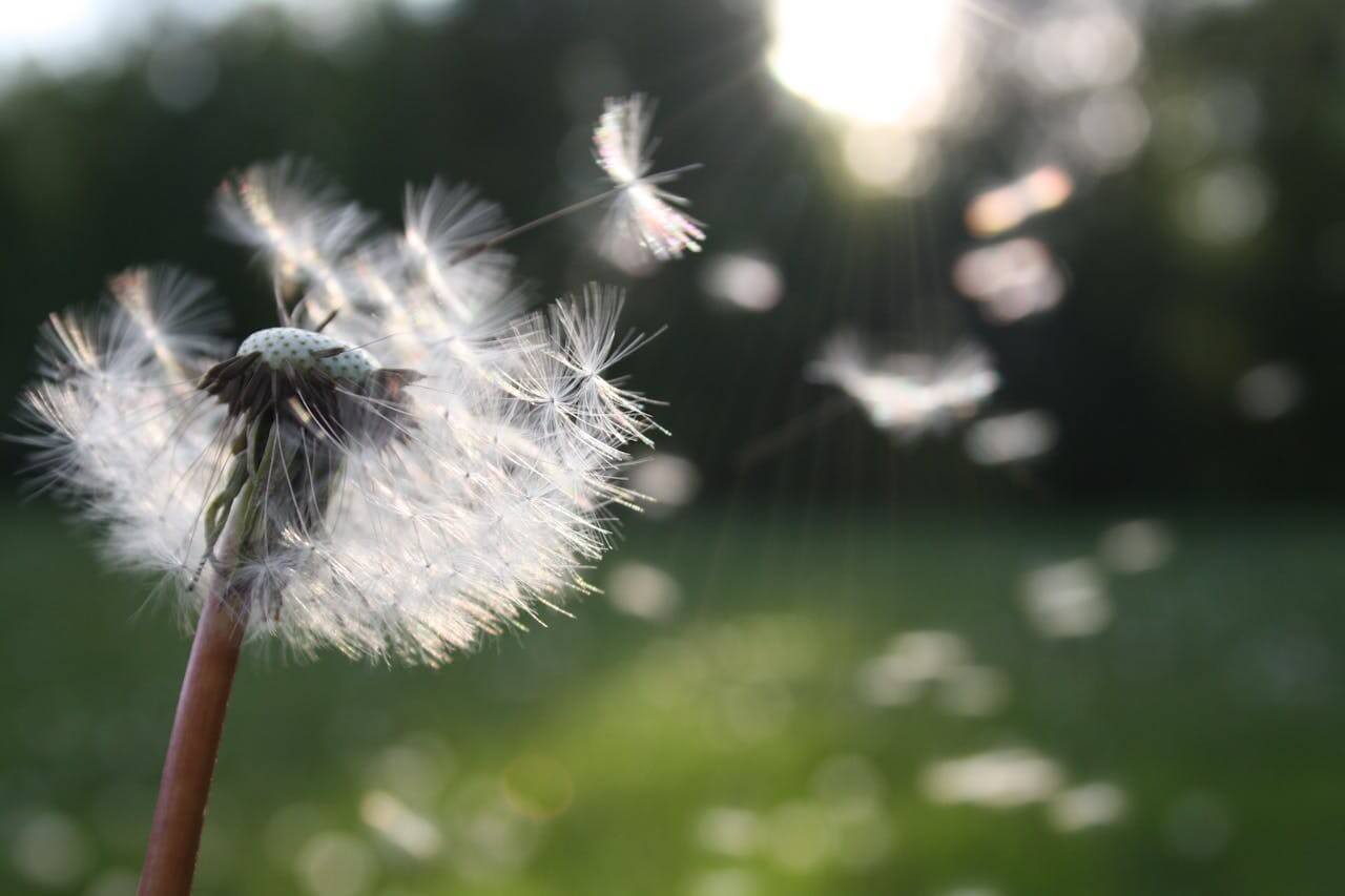 Estate not following your loved one’s wishes – what options do you have?